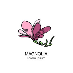 Magnolia flower hand drawn colored vector sketch Vol.5