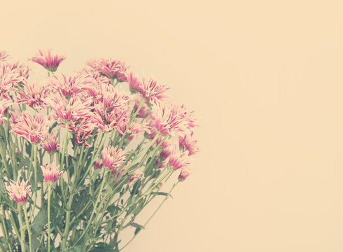 Fototapeta Colorful flowers with soft blur in the pastel vintage retro tone