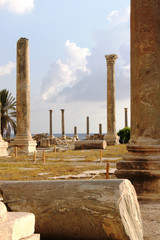Fototapeta premium Ruins of Tyre, Lebanon