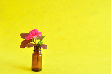 A single pink rose displayed in a small brown bottle on a yellow background