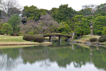 Fototapeta na wymiar Rikugien gardens in Tokyo Japan, a nice example of a traditional Japanese garden in an urban environment