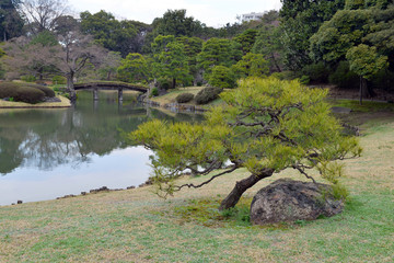 Rikugien gardens in Tokyo Japan, a nice example of a traditional Japanese garden in an urban environment