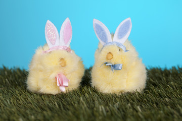 two easter bunnies