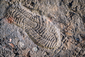 Bootprint in Fresh Mud