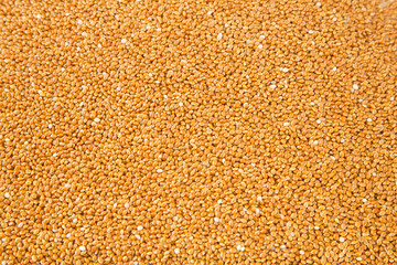 Millet cereal grains background