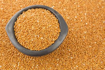 Millet cereal grains with container