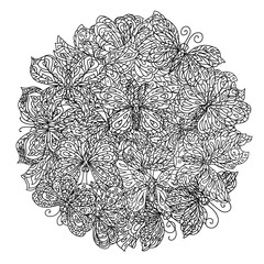 Still life with buterfly