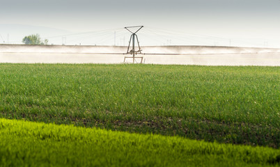 Fototapeta na wymiar fields with irrigation system