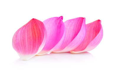  lotus petal on white background