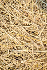 Brown rice straw