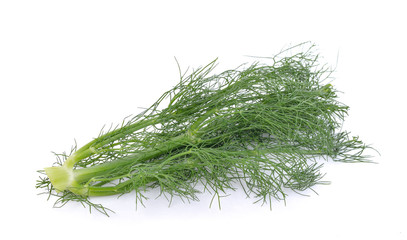fennel  vegetable on white background