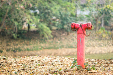 Red fire hydrant