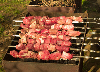 Crude shish kebab skewer