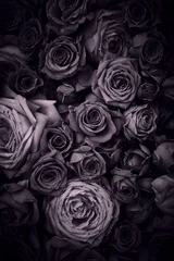 Photo sur Plexiglas Roses Fond de roses vintage
