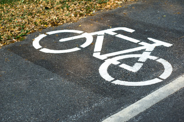 Obraz premium Bicycle lane on the road