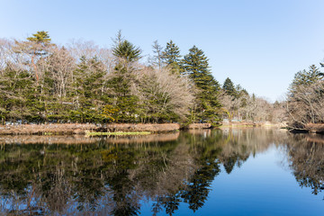 Fototapeta na wymiar Water pond karuizawa
