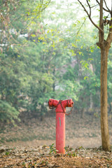 Red fire hydrant