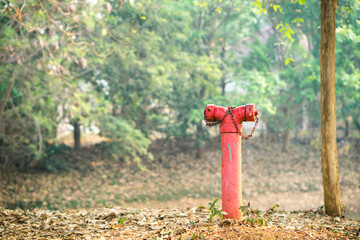 Red fire hydrant