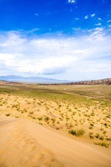 bushes in the sand desert wih mountains at background