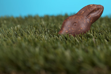 chocolate rabbit hiding in the grass