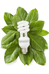 green eco energy concept