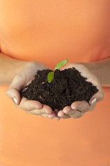 hand holding soil with plant