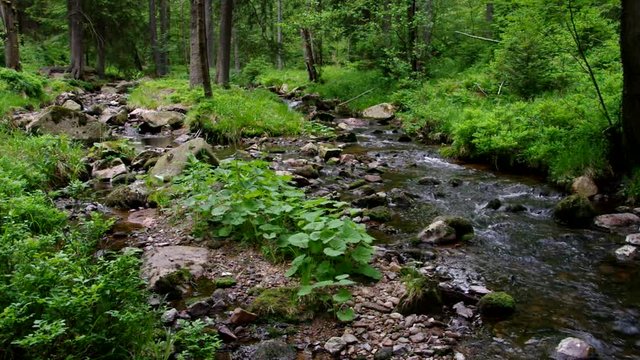 Bodewasserfall vid 02 ton