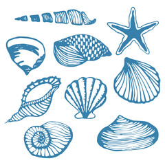 Sea shells