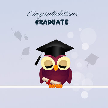 congratulations for graduation