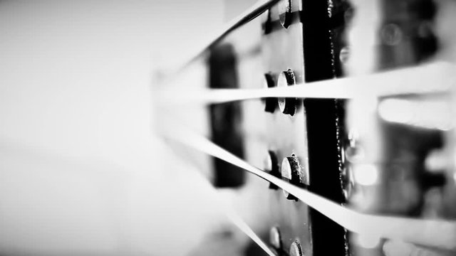Bass guitar player