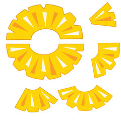 Pineapple fruit slices set icon vector illustration icon isolate