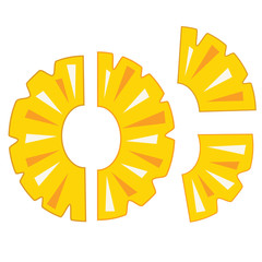 Pineapple fruit slices set icon vector illustration icon isolate