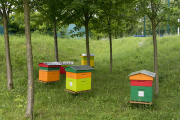 Ruche, Abeille, Parc du Grand Godet, Villeneuve le Roi, 94, Val de Marne,