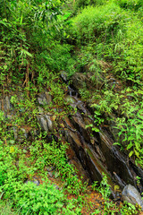 A natural geological wonder of limestone mountain, Laos