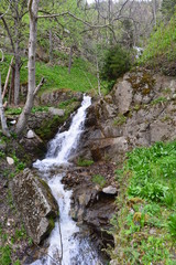 Fototapeta na wymiar Bergbach im pontischen Gebirge Trabzon