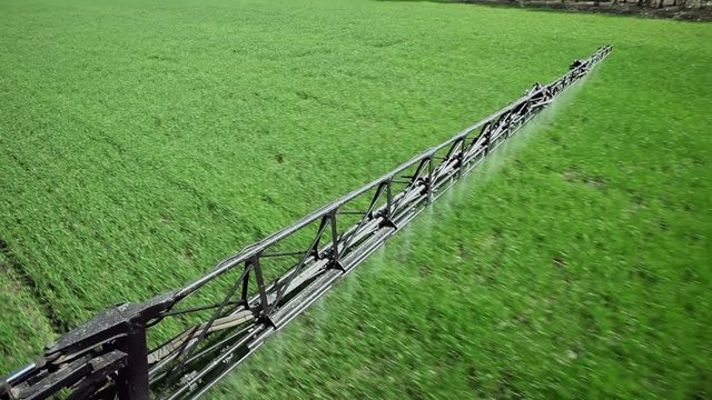 Treatment of cereals against pests, insects and plant diseases