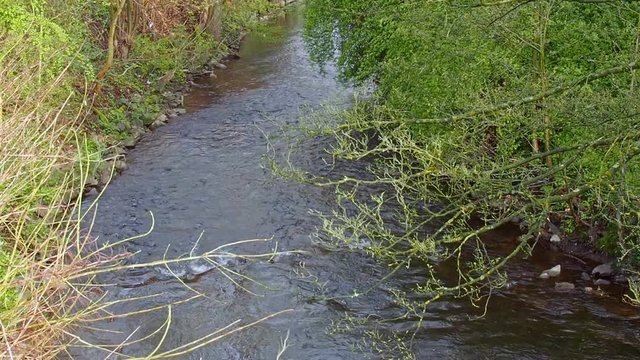 A small peaceful stream in spring.
The German stream Deilbach at the town Velbert Nierenhof.

