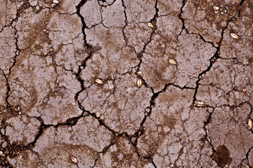 dry brown soil with crack full background