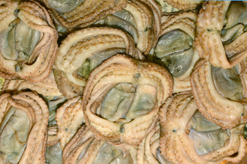 Sun-dried octopus in market for sale