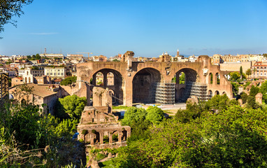 Naklejka premium Basilica of Maxentius and Constantine, ruins in the Roman Forum