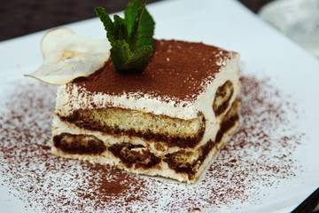 Beautiful piece of delicious tiramisu with fresh mint and chocolate chip in a cafe.