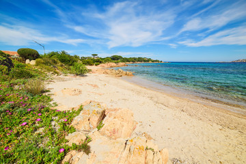 Romazzino beach in