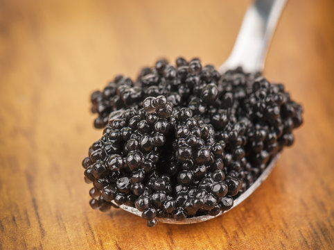 black caviar in silver spoon