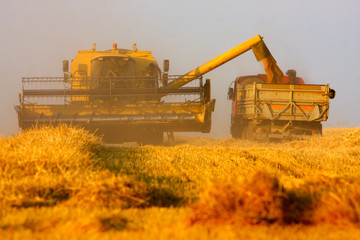 Technology of harvesting 