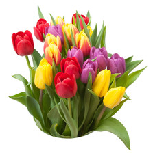 Assorted Tulips Bouquet. Isolated On White Background