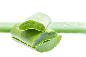 aloe vera on white background