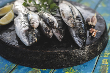 Raw fish. Sea bream, sea bass, mackerel and sardines