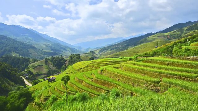 Timelapse video of Rice terrace at Mu Cang Chai Valley, Vietnam 