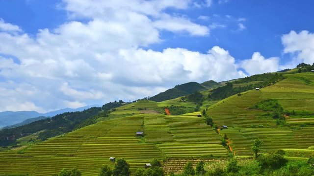 Timelapse video of Rice terrace at Mu Cang Chai Valley, Vietnam 