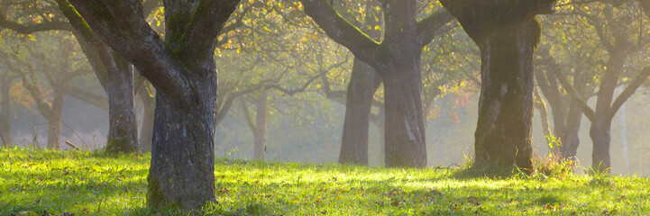 Herbst
